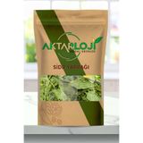 aktarloji 100 Gr Sidr Yaprağı / Arabistan Kirazı Yaprağı / Es-Sidre / Sidir Otu - Katkısız & Doğal