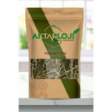 aktarloji 100 Gr Yoğurt Otu / Yoğurtotu Çayı / Yeni Mahsül - Katkısız & Doğal