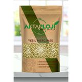aktarloji 250 Gr Glutensiz Yeşil Mercimek / Yüksek Protein / Yüksek Lif