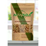 aktarloji 50 Gr Süpürge Otu Tohumu / Süpürge Darası - Katkısız & Doğal