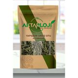aktarloji 50 Gr Yapışkan Andız Otu / Andız Otu Çayı - Yeni Mahsül - Katkısız & Doğal