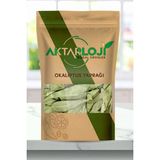 Aktarloji 500 gr Okaliptus Yaprağı / Okaliptus Çayı - Katkısız & Doğal