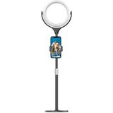 AktarMobile Ring Light LED 7’’ 18 cm Ayaklı Işık Halkası Masa Üstü Çok Amaçlı Şık Tasarım Metal Teleskobik Ayak - Siyah