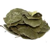 Aktarzane 100 gr Avakado Yaprağı