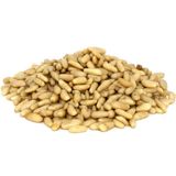 Aktarzane 100 gr Güner İçi Çam Fıstığı