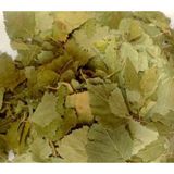 Aktarzane 250 gr Huş Ağacı Yaprağı