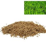 Aktarzane Çim Tohumu 6mix 500GR