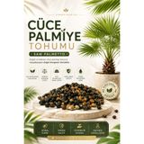 Aktarzane Cüce Palmiye Tohumu Saw Palmetto Tıbbi Tohum 100gr