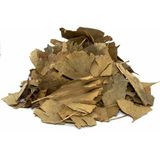 Aktarzane Ginkgo Biloba Mabet Ağacı 250 Gr