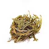 Aktarzane KURT PENÇESİ OTU KİBRİT OTU 50GR