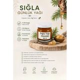 Aktarzane Sığla Ağacı Yağı Sığla Yağı Günlük Yağı 40 ml