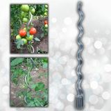Aktepe Group 20 Adet 150 Cm Metal Spiral Bitki Destek Çubuğu Hobi Bahçesi Bitki Bağlama Teli Sebze ve Çiçek Teli