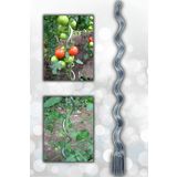 AKTEPE Group Bitki Çubuğu 10 Adet 150 Cm Metal Spiral Bitki Teli Ve Desteği Fidan Bağlama Teli Ve Çiçek Teli