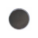 Aktif Karbon Diş Tozu 40Gr