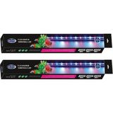Akvaryum 45 cm Aqua Master LED Lamba( Beyaz ) 5 W