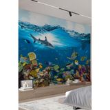 Akvaryum Balıklar ve Mercan Manzaralı Duvar Kağıdı, 450 x 240
