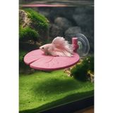 Akvaryum Beta Dinlenme Alanı Nilüfer Yaprağı ( Pembe ve Tonları )