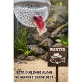 Akvaryum Beta Dinlenme Alanı ve Wanted Dekor Seti • 2'li Settir ( KarmaRenk )
