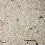 Akvaryum Beyaz Taş 1cm 5 Kg Beyaz Taş Akvaryum Taşı Bahçe Taşı