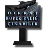 Akvaryum Süsü Dekoru Dikkat K.b Çıkabilir 12 cm