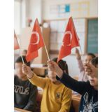 Akyıldız Store (40 Adet) - 30X45 cm Sopalı Türk Bayrağı - --