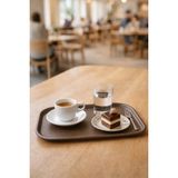 Akyüz Plastik 10 Adet Tray 29 cm Plastik Servis Tepsisi, Sunum Tepsisi Kahve Tepsisi-29 cm x 20 Cm-Kahverengi