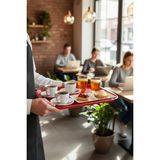Akyüz Plastik 10 ADET Tray 36 cm Plastik Servis Tepsisi, Sunum Tepsisi-36 cm x 27 cm-Kırmızı
