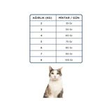 Al-Kar Ticaret Econature Yetişkin Kedi Mamasi Tavuklu 1 kg Sari Ambalaj (3 Paketi) - -- - Option-1