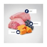 Al-Kar Ticaret Farmina Pet Foods N&d Pumpkin Kuru Köpek Maması, Tahılsız, Kuzu ve Yabanmersinli, Yavru Köpek Mini, 7 kg - 0,01 gr