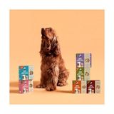 Al-Kar Ticaret Kito Fresh Hindi Etli Köpek YEMEĞI%100 Taze Içerikli Mama 250 gr - 0,75 kg
