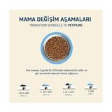 Al-Kar Ticaret Kuru Yetişkin Kedi Maması - Besleyici Vitamin Ilaveli Tam ve Dengeli Mama (1,2 Kg, Somon) (2 Paketi) - 0,01 gr