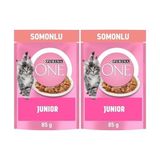 Al-Kar Ticaret Purına One Somonlu Yavru Kediler Için Yaş Kedi Maması 85 Gram 2li Paket - 0,01 gr