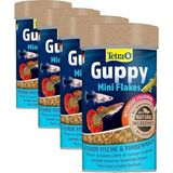 Al-Kar Ticaret Yem Guppy 100 ml (4 Paketi) - Option-1