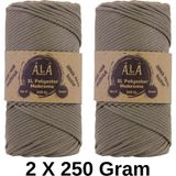 Ala Depo 2 Adet Xl Polyester Makrome No:6 (Kalın) Çanta Ipi 2X250 Gram (Toplam 500 Gram) - Vizon