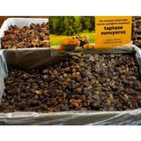 Aladağ aladag Kuru Üzüm 1kg - 1000 gram