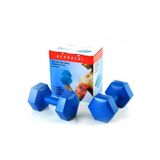 Alanaldi Koseli Dambil Agirlik Seti Fitness Vucut Gelistirme Aleti 5 Kilogram Dumbel Set