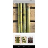 Alanya Fidan 5 âdet bambu kargı çubuk 150 cm