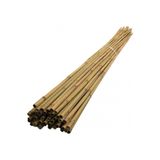 Alanya Fidan 50 adet 200 cm (2 metre) bambu kargı kamış bitki destek çubuğu sebze için uygundur