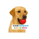 AlaPet Köpek Topu Zıplayan Sert Top Köpek Oyuncağı 4.5CM (Parçalanmayan Top)