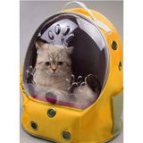 AlaPet Ufo Astronot Kedi Taşıma Çantası - 7 Hava Kanallı Pati Desenli 47X40X35CM (15KG) - Sarı