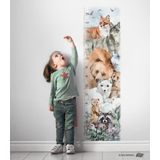 Alaska Boy Ölçer Çocuk Odası Duvar Stickerı