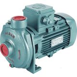 Alavan Varan CS 151 Tek Kademe Monoblok Santrifüj Pompa 1 HP/ 0.75 kW, Trifaze 380 V, 26 Mss, 16 m3/h