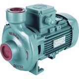Alavan Varan CS 22 Tek Kademe Monoblok Santrifüj Pompa 2 HP / 1.5 kW, Trifaze 380 V, 24 Mss, 30 m3/h