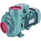Alavan Varan CS 33 Tek Kademe Monoblok Santrifüj Pompa 3 HP / 2.2 kW, Trifaze 380 V, 17 Mss, 60 m3/h