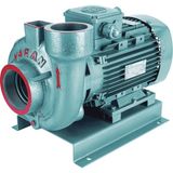 Alavan Varan Vs 325 Monoblok Salyangoz Santrifüj Pompa 5.5 Hp / 4 Kw, Trifaze 380 V, 34 Mss, 65 M3/h - OzelAlan2