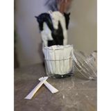 Alazpack Stick Şeker Beyaz Baskısız 3gr 100 Adet - 3 gr