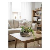 Alba Home Decor Dekoratif sukukent kaktüs arajman saksı