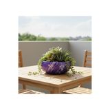 Alba Home Decor Yuvarlak sukulent kaktüs arajman saksı