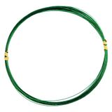 Albastar Kore 10 m 20 LBS Standart Çelik Tel