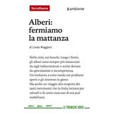Alberi: fermiamo la mattanza (Salute naturale)